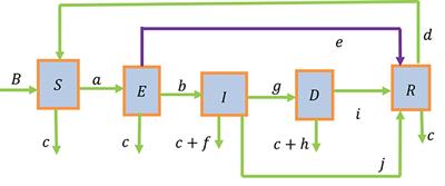 Modeling and bifurcation analysis of tuberculosis with the multidrug-resistant compartment incorporating chemoprophylaxis treatment
